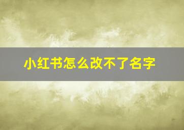 小红书怎么改不了名字