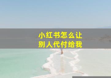 小红书怎么让别人代付给我