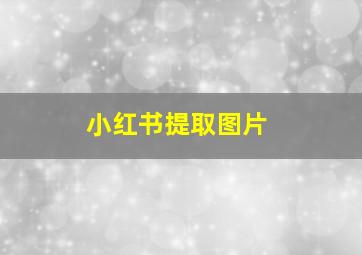 小红书提取图片