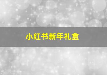 小红书新年礼盒