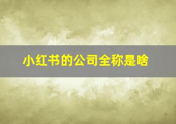 小红书的公司全称是啥