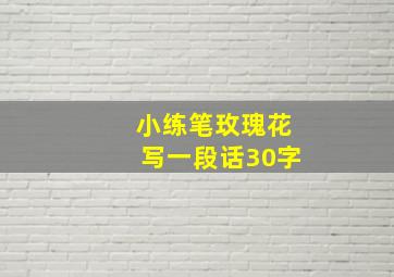 小练笔玫瑰花写一段话30字