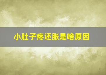 小肚子疼还胀是啥原因