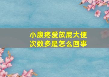 小腹疼爱放屁大便次数多是怎么回事