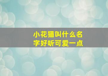 小花猫叫什么名字好听可爱一点