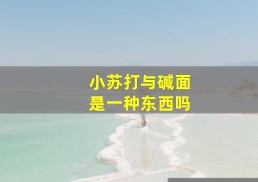 小苏打与碱面是一种东西吗