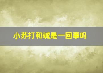 小苏打和碱是一回事吗