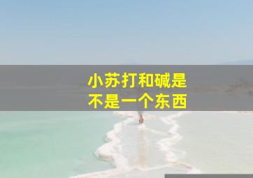 小苏打和碱是不是一个东西