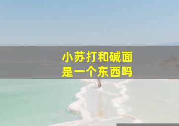 小苏打和碱面是一个东西吗