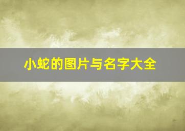 小蛇的图片与名字大全