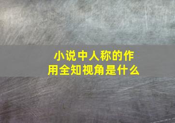 小说中人称的作用全知视角是什么