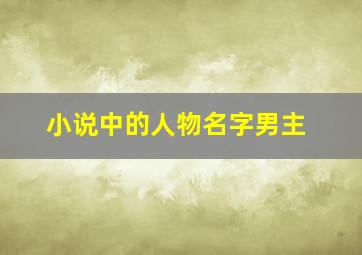 小说中的人物名字男主