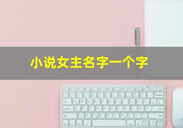 小说女主名字一个字