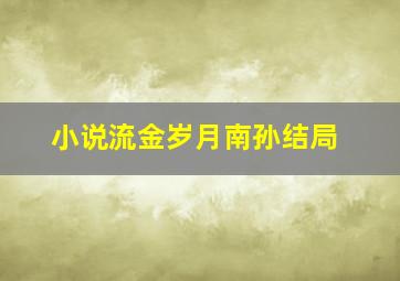 小说流金岁月南孙结局