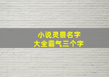 小说灵兽名字大全霸气三个字