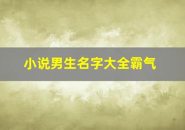 小说男生名字大全霸气