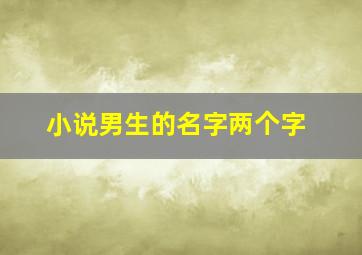 小说男生的名字两个字