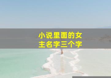 小说里面的女主名字三个字