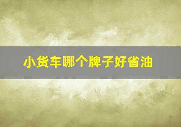 小货车哪个牌子好省油