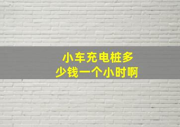 小车充电桩多少钱一个小时啊