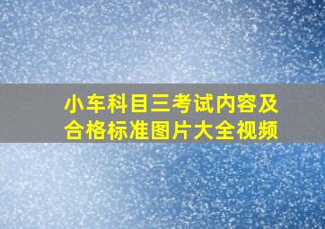 小车科目三考试内容及合格标准图片大全视频