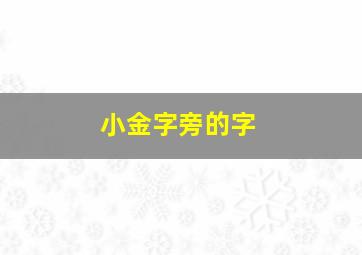 小金字旁的字