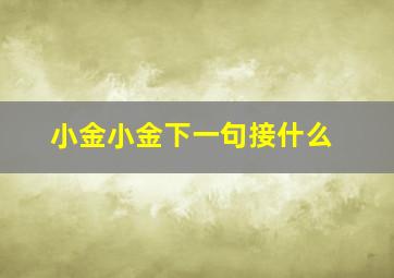 小金小金下一句接什么