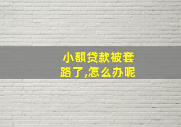 小额贷款被套路了,怎么办呢