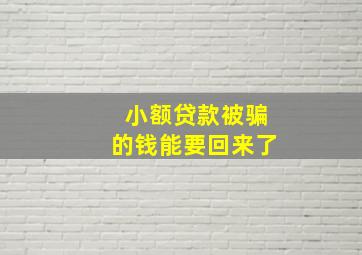 小额贷款被骗的钱能要回来了