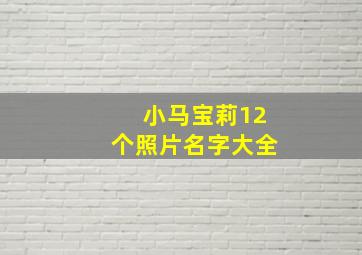 小马宝莉12个照片名字大全