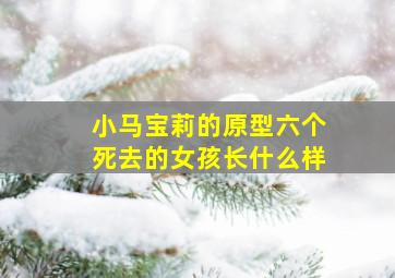 小马宝莉的原型六个死去的女孩长什么样