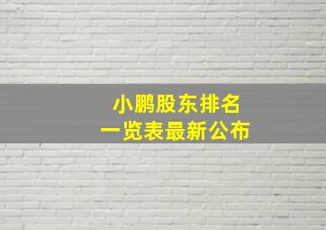 小鹏股东排名一览表最新公布