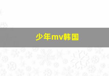 少年mv韩国