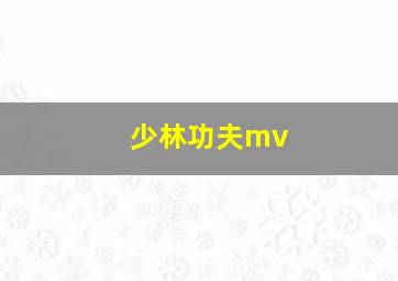 少林功夫mv