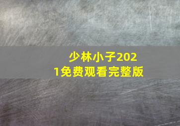 少林小子2021免费观看完整版