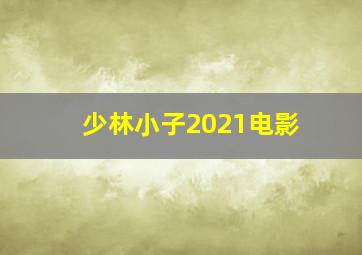 少林小子2021电影