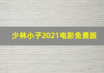 少林小子2021电影免费版