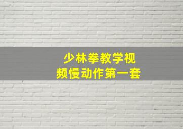 少林拳教学视频慢动作第一套