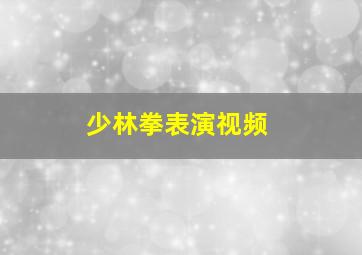 少林拳表演视频