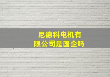 尼德科电机有限公司是国企吗