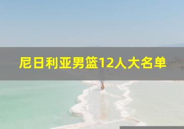 尼日利亚男篮12人大名单