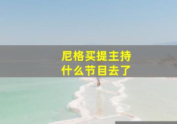 尼格买提主持什么节目去了