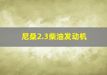 尼桑2.3柴油发动机