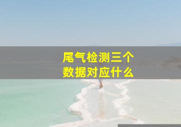 尾气检测三个数据对应什么