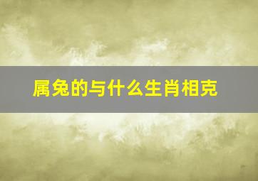 属兔的与什么生肖相克