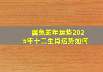 属兔蛇年运势2025年十二生肖运势如何