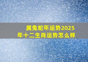 属兔蛇年运势2025年十二生肖运势怎么样