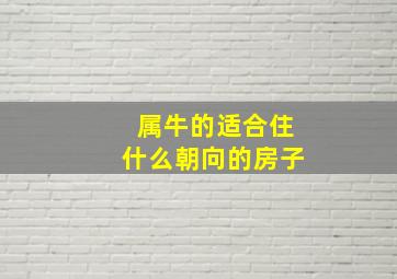 属牛的适合住什么朝向的房子