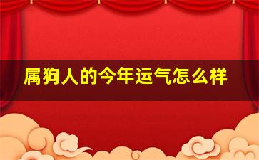 属狗人的今年运气怎么样