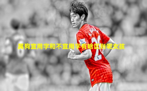 属狗宜用字和不宜用字有啥区别呢女孩